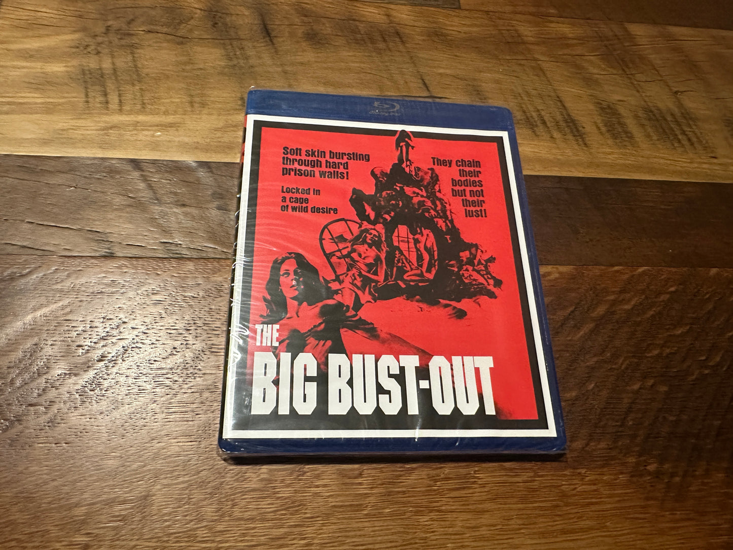 The Big Bust-Out (Blu ray, Scream Factory, Website Exclusive, NEW/Sealed)