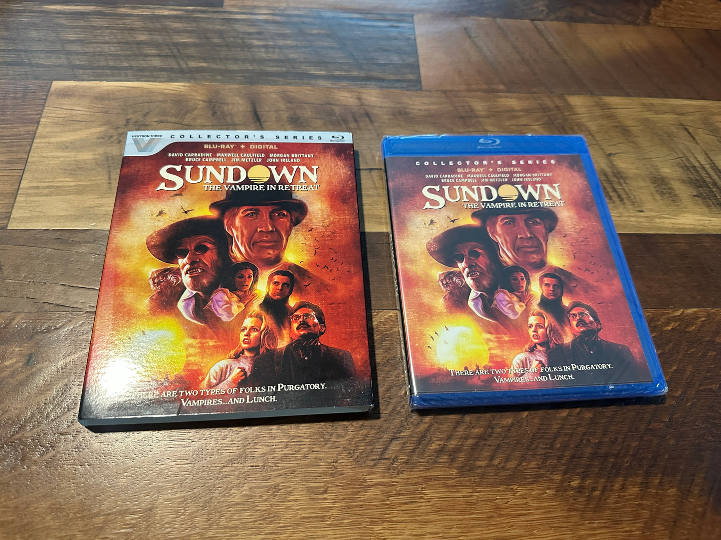 Sundown The Vampire In Retreat (Blu ray, Vestron Video, Slipcover, NEW)