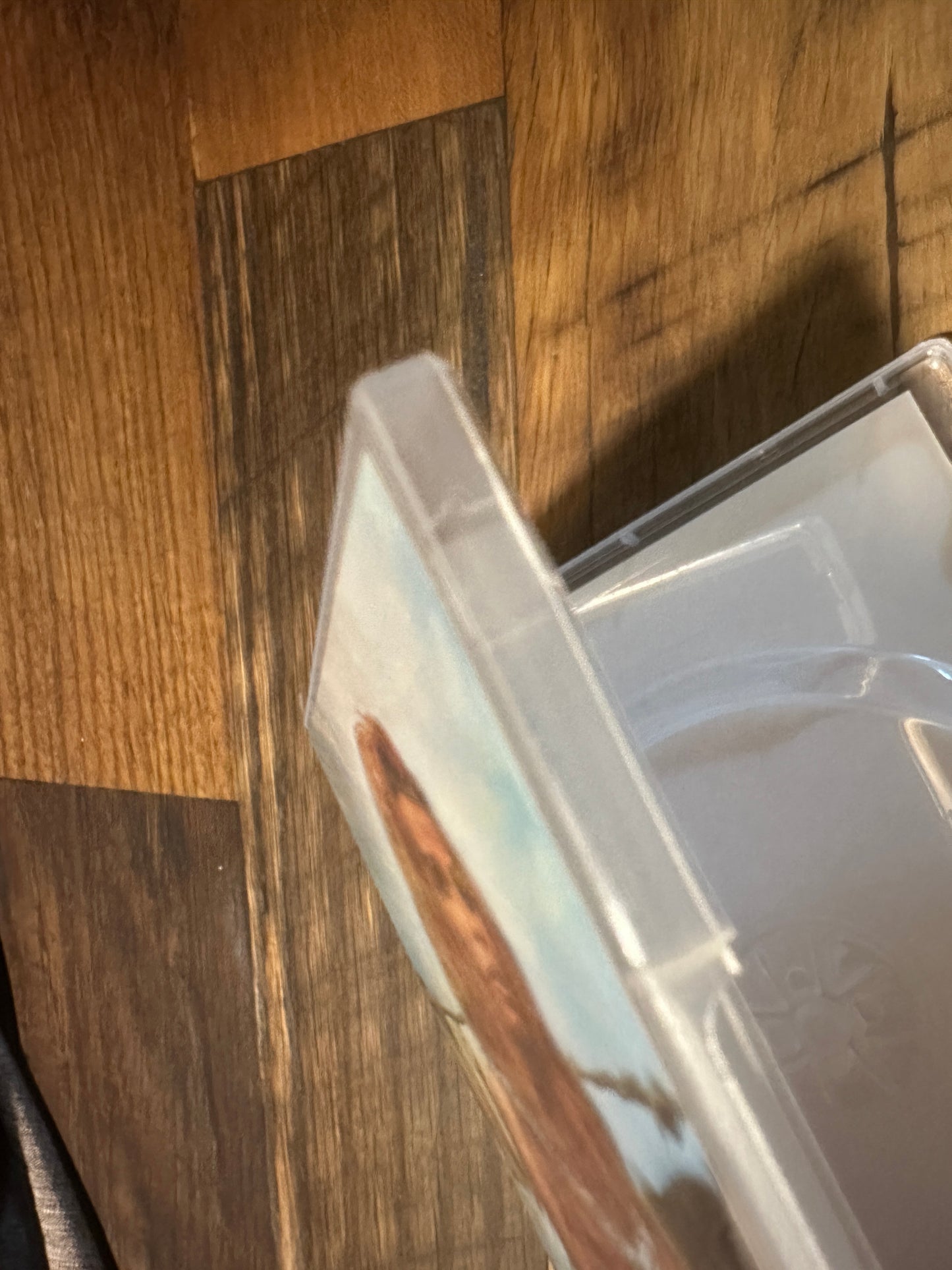 When Women Had Tails (DVD, Obscure 70’s Sci Fi Cavemen Classic)