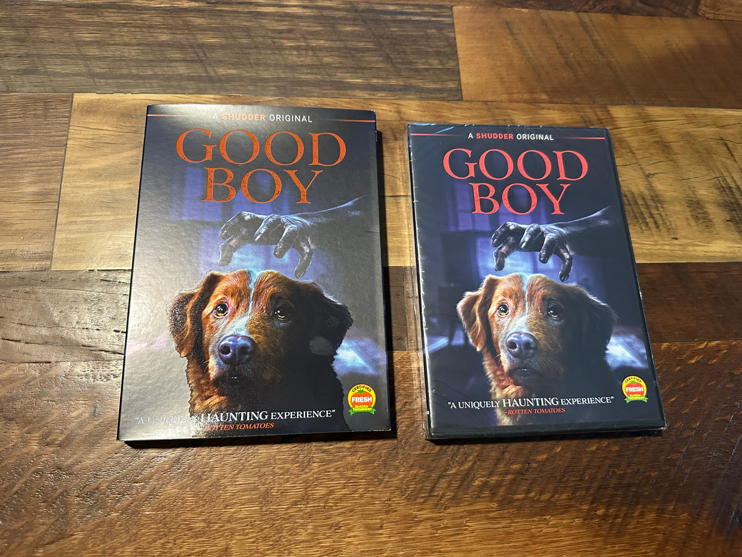 Good Boy (DVD, Shudder Modern Horror, Slipcover, NEW/Sealed)