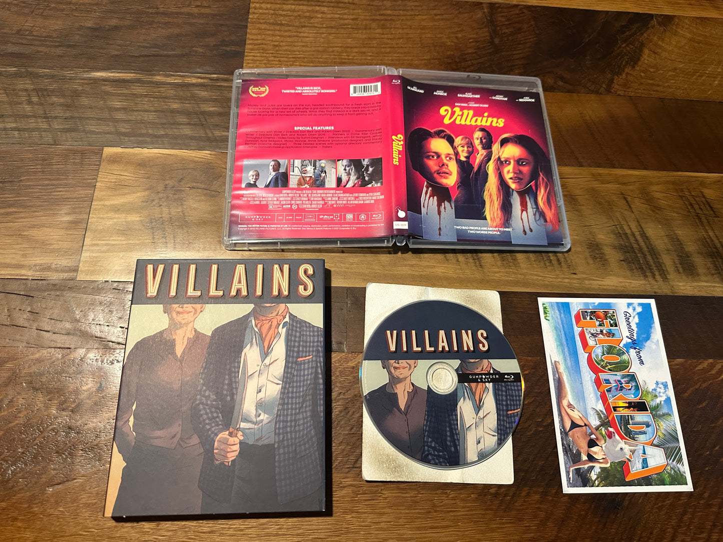 Villains (Blu ray, Vinegar Syndrome Partner Label, 2019 Horror, OOP Slipcover)