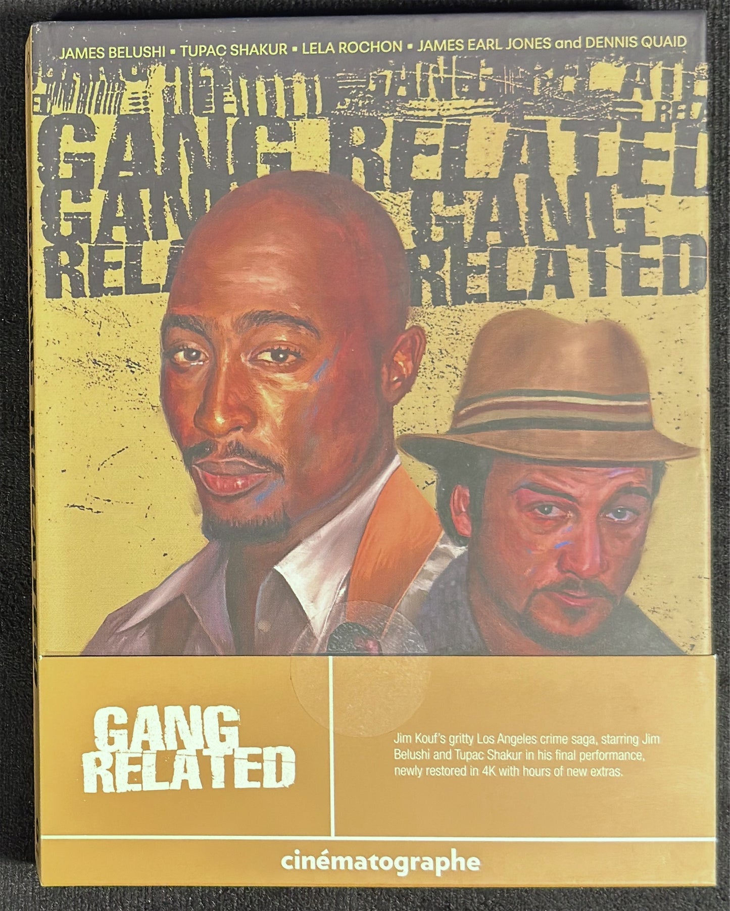Gang Related