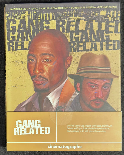 Gang Related