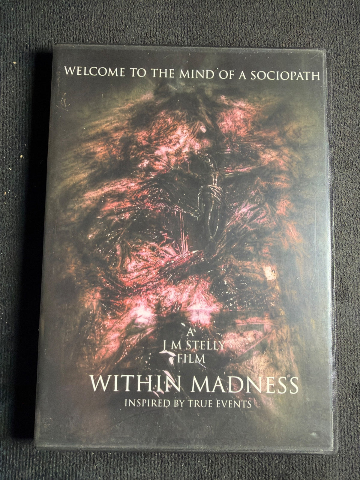 Within Madness (DVD, Anatomica Production, 2015 Obscure Horror, Rare)