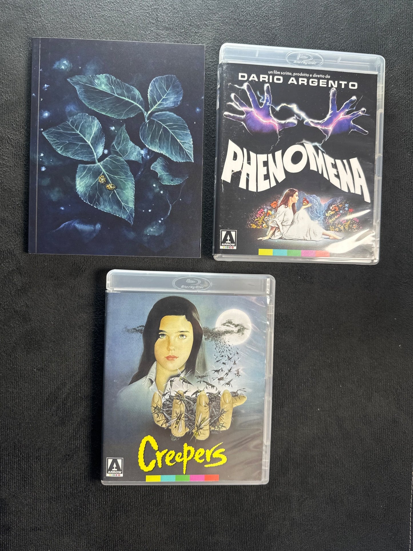 Phenomena (Blu-ray, Arrow Video, Limited Edition, Region B)