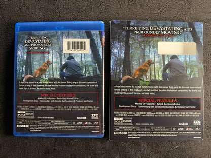 Good Boy (Blu-ray, IFC Films, Slipcover, 2025 Shutter Horror, Widescreen)