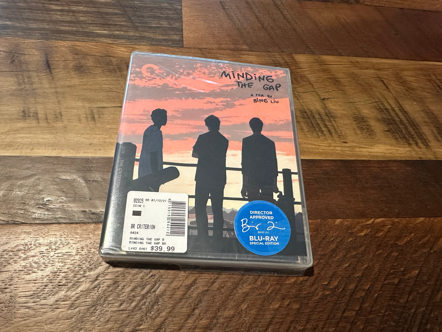 Minding The Gap (Blu ray, Criterion Collection, Special Edition, NEW)