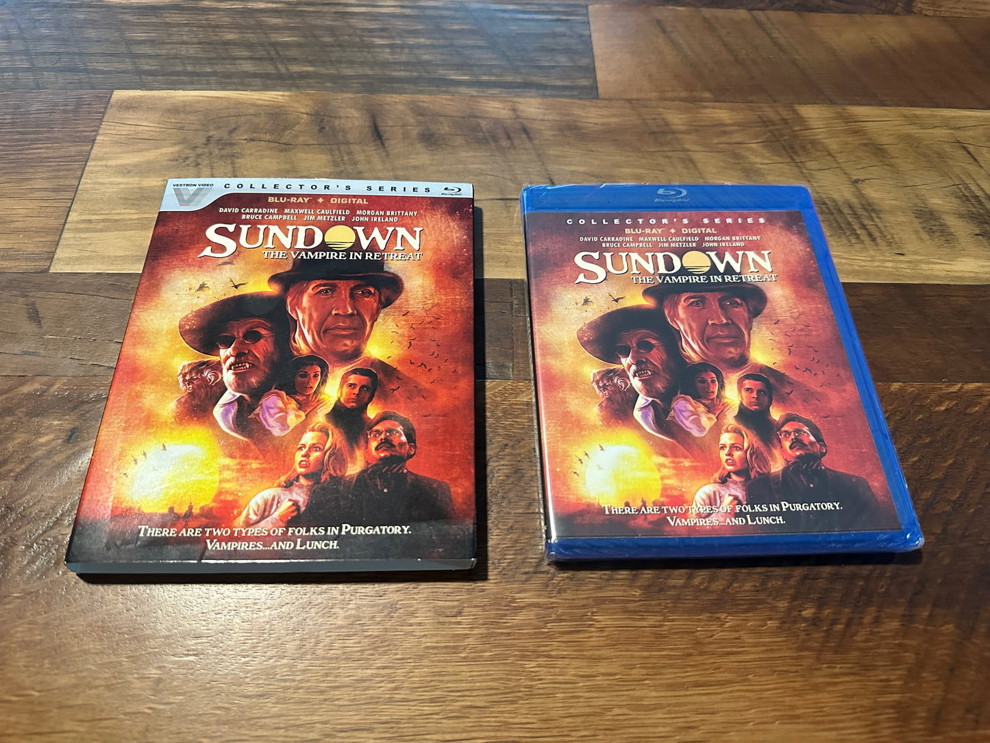 Sundown The Vampire In Retreat (Blu ray, Vestron Video, Slipcover, NEW)
