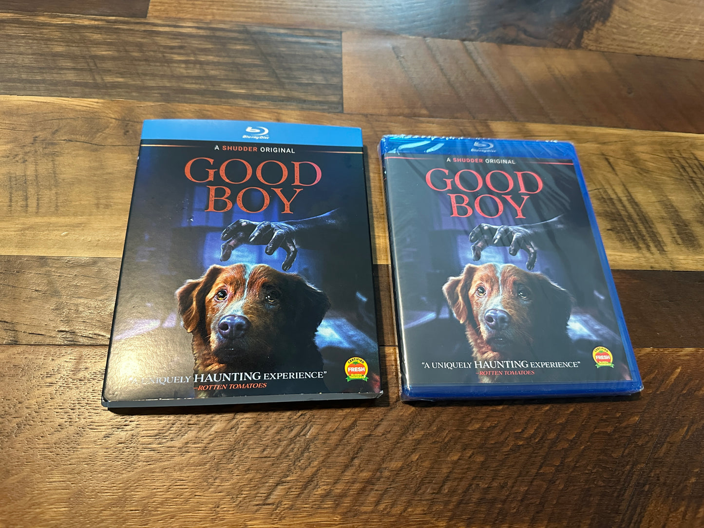 Good Boy (Blu ray, Shudder Modern Horror, Slipcover, NEW/Sealed)