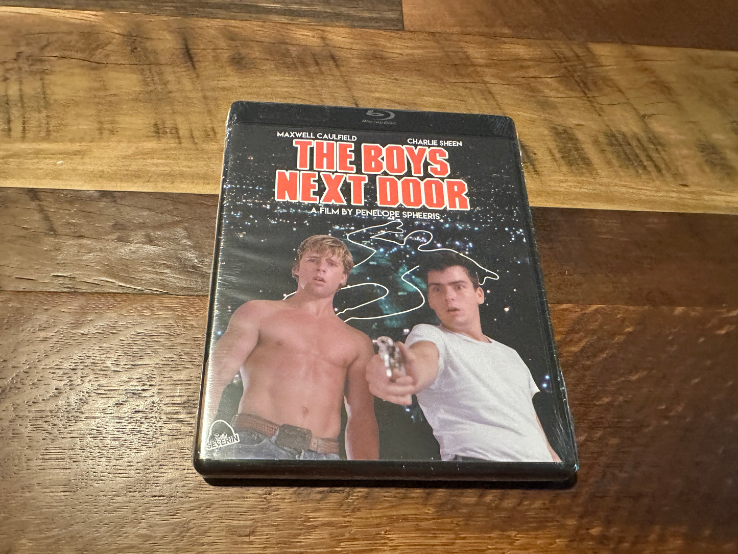 The Boys Next Door Blu ray, Severin Films, 80’s Charlie Sheen Classic, NEW)