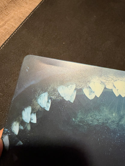 The Meg (4K UHD, Warner Bros, Steelbook, Classic Shark Horror, No Digital)