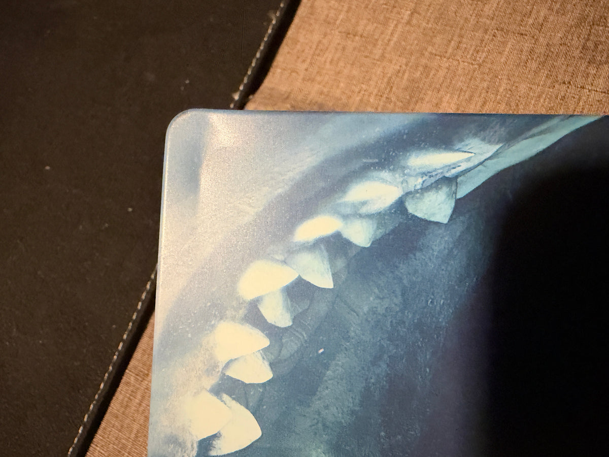 The Meg (4K UHD, Warner Bros, Steelbook, Classic Shark Horror, No Digital)