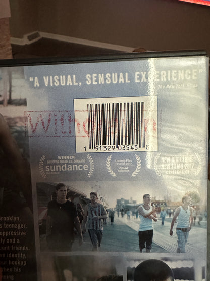 Beach Rats (DVD, Universal, 2017 Classic, Widescreen, Eliza Hittman)