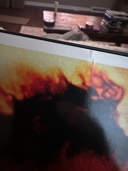 Julien Donkey-Boy (DVD, New Line Home Entertainment, Snapcase)