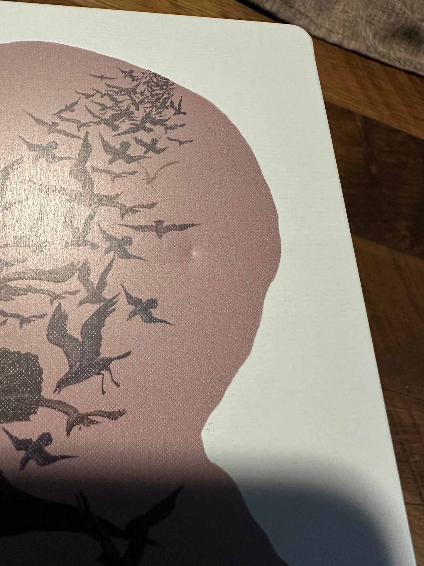 The Birds (4K Ultra HD/Blu ray, Universal, Steelbook, Limited Ed, No Digital)