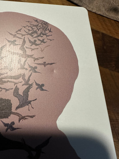 The Birds (4K Ultra HD/Blu ray, Universal, Steelbook, Limited Ed, No Digital)
