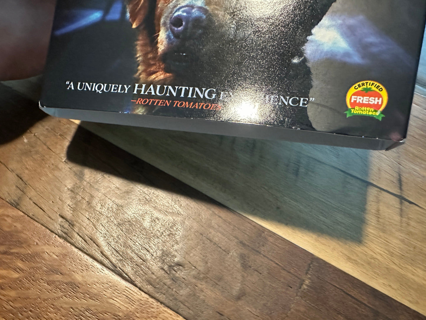Good Boy (Blu ray, Shudder Modern Horror, Slipcover, NEW/Sealed)